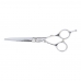 Hair scissors Neostar Eurostil CORTE MICRODENTADA 6