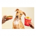 Играчка за Кучета Gloria Hamburdog 14 x 6 cm Хамбургер