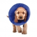 Collare elisabettiano per cani KVP EZ Soft Azzurro (30-50 cm)
