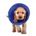 Collare elisabettiano per cani KVP EZ Soft Azzurro (35-60 cm)