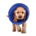 Elžbietos laikų šunų antkaklis KVP EZ Soft Mėlyna (9-25 cm)