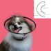 Guler elisabetan pentru câini KVP Saf-T-Clear Transparent (22-43 cm)