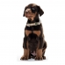 Dog collar Hunter Alu-Strong Red Size M (40-55 cm)