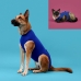 T-shirt de récupération pour animaux de compagnie KVP Bleu 25-33 cm