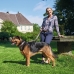 Collare per Cani Hunter Swiss 41-49 cm