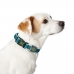 Dog collar Hunter Vario Basic Threads Turquoise 20
