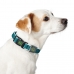 Obroża dla psa Hunter Vario Basic Żyłki Brązowy Rozmiar S (30-43 cm)