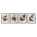 Картина DKD Home Decor Пеперуди 40 x 2 x 50 cm Shabby Chic (4 Части)