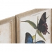 Maalaus DKD Home Decor Perhoset 40 x 2 x 50 cm Shabby Chic (4 Kappaletta)
