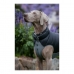 Kabát pre psa Red Dingo Puffer 45 cm Čierna/Sivá