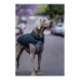 Палто за Куче Red Dingo Puffer Черен/Сив 35 cm