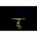 Stropné svetlo DKD Home Decor 35,5 x 35,5 x 51 cm Zlatá Živica Koloniálny štýl 220 V 50 W opica (2 kusov)