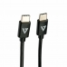 Câble USB C V7 V7USB2C-2M Noir