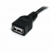 USB-кабель Startech USBEXTAA3BK          USB A Чёрный