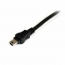 Kabel USB 2.0a naar Mini USB B Startech USB2HABMY6           Rood Zwart