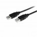 Cablu USB Startech USB2AA1M             USB A Negru