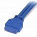 Cavo USB Startech USB3SPNLAFHD         IDC USB A Azzurro