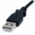 USB-kabel Startech USB2TYPEM2M          Svart