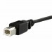 USB Cable Startech USBPNLBFBM3          Black