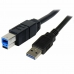 USB A uz USB B Kabelis Startech USB3SAB3MBK 3 m Melns