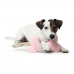 Kauwspeelgoed voor honden Hunter Salima Knuffel Met touw Roze Puppy's