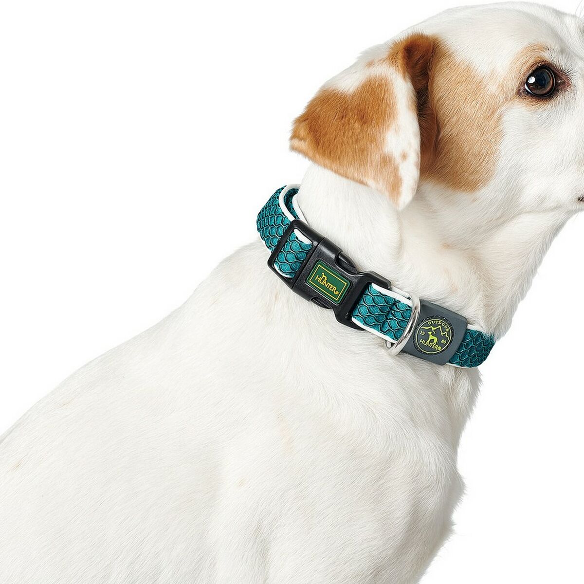 Hundehalsbånd Hunter Basic Tråd Lime 20