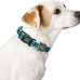 Dog collar Hunter Basic Thread Size M Lime (33-50 cm)