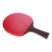 Ping Pong ütő Atipick RQP40403