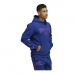 Vīriešu Sporta Krekls ar Kapuci Adidas Reverse Retro Future Icons Zils