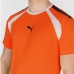 Футболка с коротким рукавом мужская Puma TeamLIGA Оранжевый Мужской