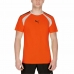 T-shirt med kortärm Herr Puma TeamLIGA Orange Män
