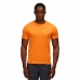 Kortarmet T-skjorte til Menn Regatta  Regatta Fingal Edition Oransje