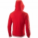 Vyriškas džemperis su gobtuvu Wilson Team II Raudona