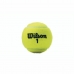 Mingi de Tenis Wilson Championship XD  (3 pcs)