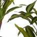 Decoratieve plant Breed mes Groen Plastic (60 x 90 x 60 cm)