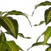 Roślina Dekoracyjna Szerokie liście Kolor Zielony Plastikowy (70 x 120 x 70 cm)