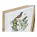 Glezna DKD Home Decor Bird 55 x 2,5 x 70 cm Tropiskais Putni (4 Daudzums)