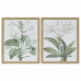 Pintura DKD Home Decor 43 x 3 x 53 cm Plantas botânicas (2 Unidades)