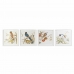 Painting DKD Home Decor 60 x 2,5 x 60 cm Bird Shabby Chic (4 Pieces)