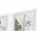Cuadro DKD Home Decor 40 x 2 x 54 cm Flores Shabby Chic (6 Piezas)