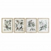 Painting DKD Home Decor 50 x 2,5 x 65 cm Shabby Chic Botanical plants (4 Pieces)