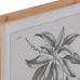 Maľba DKD Home Decor Jedľa Sklo 50 x 65 x 2 cm 50 x 2 x 65 cm Botanické rastliny (4 Kusy)