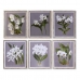 Glezna DKD Home Decor Egle Stikls 50 x 60 x 2,8 cm 50 x 2,8 x 60 cm Цветы (6 Daudzums)