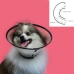 Elizabethan Dog Collar KVP Saf-T-Clear Transparent (25-38 cm)