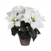 Okrasná rastlina Biela PVC (27 X 35 CM)