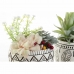 Dekorativ plante DKD Home Decor Harpiks Polyetylen Kaktus 12 x 12 x 18 cm (2 enheder)