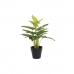 Διακοσμητικό Φυτό DKD Home Decor PVC πολυπροπυλένιο 25 x 25 x 30 cm