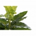 Διακοσμητικό Φυτό DKD Home Decor PVC πολυπροπυλένιο 25 x 25 x 30 cm