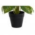 Dekorativna rastlina DKD Home Decor PVC polipropilen 20 x 20 x 30 cm