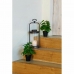 Plante décorative DKD Home Decor PVC polypropylène 20 x 20 x 30 cm